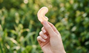 Are Skips Gluten Free?