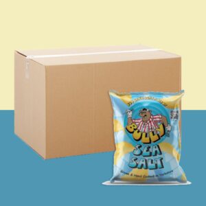 24x Bully Sea Salt Crisps 40g